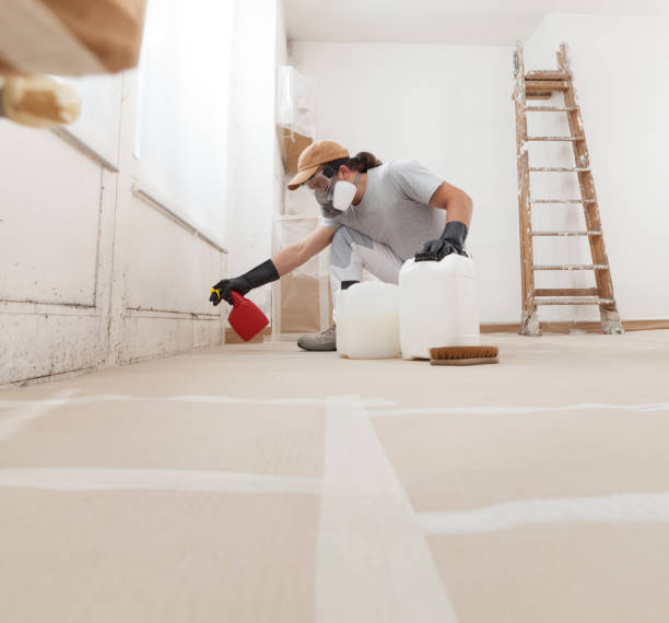 Best HVAC Mold Inspection and Cleaning  in Lemon Grove, CA